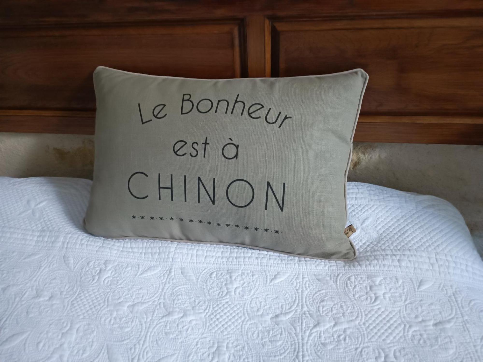Gite La Comete Chinon Ngoại thất bức ảnh